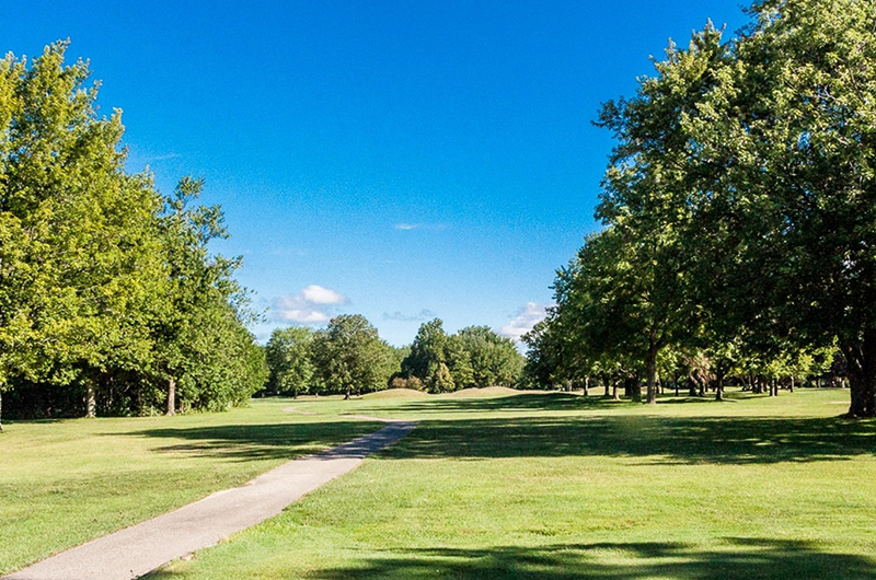 golf course fairway